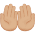 :palms_up_together:t3: :palms_up_together:t3: