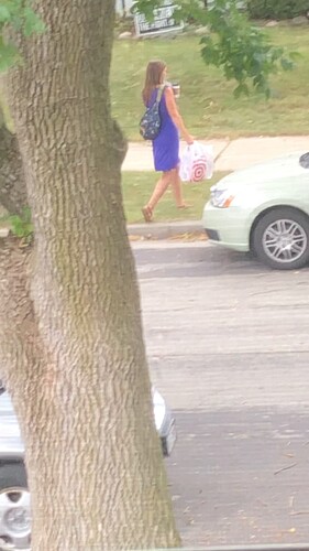 goat neighbor purple pt 5 n