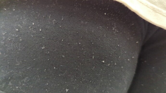 vlcsnap-2024-04-20-14h58m06s658