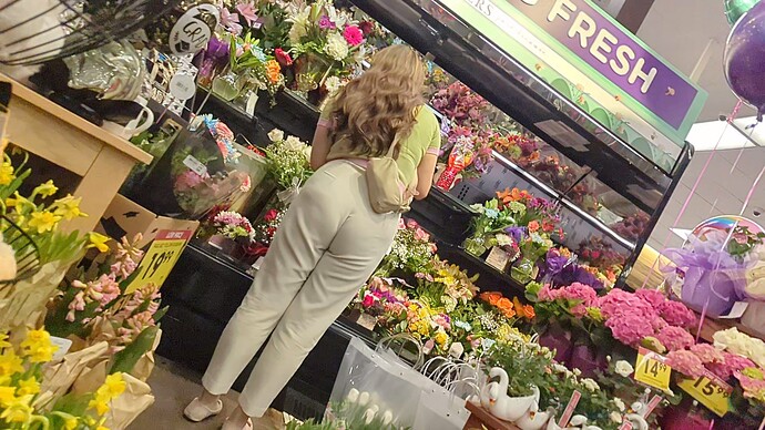 Flowers (6)
