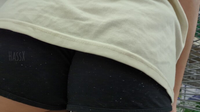 vlcsnap-2024-04-20-14h58m14s909