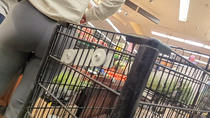 SuperMarket (1)