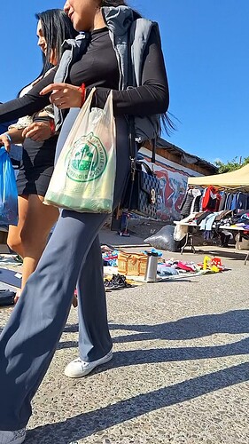 VID_20241213_130409_exported_205241