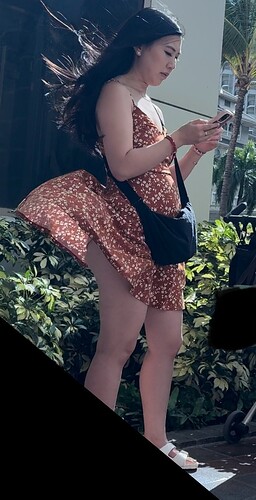 IMG_2587