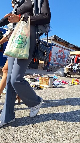 VID_20241213_130409_exported_204841
