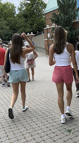 IMG_1517