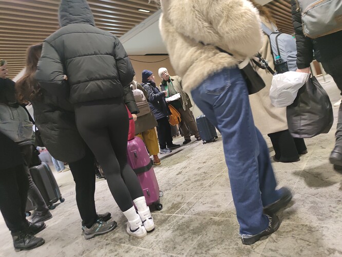 IMG1 (16)