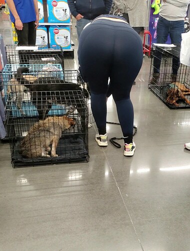 164917