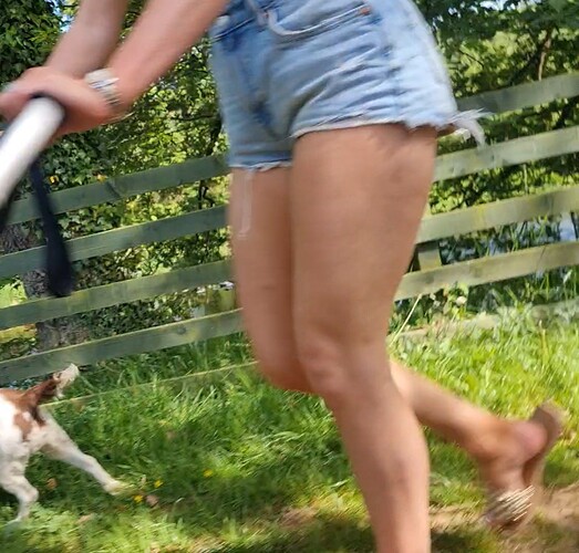 VideoCapture_20231212-173538