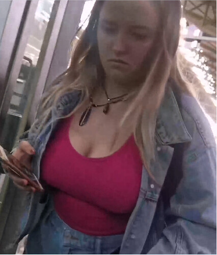 dishuit.PNG
