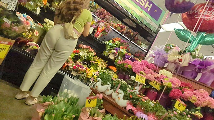 Flowers (1)