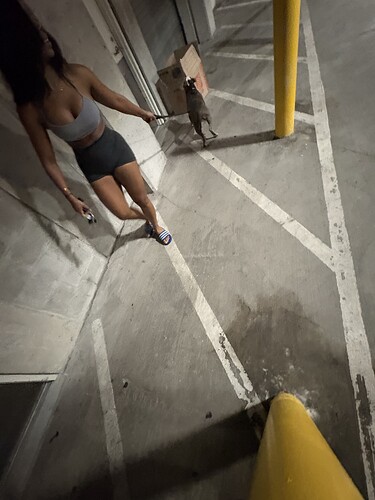 IMG_2811