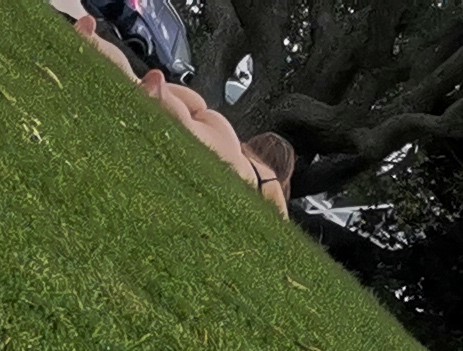 x (1)