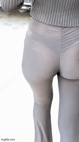 vpl4