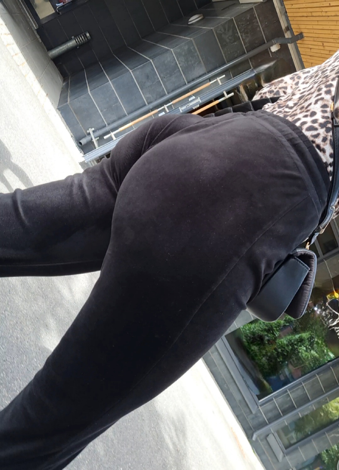 Delicious Ass In College Pants So Hot Spandex Leggings Yoga 