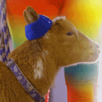 goat
