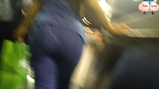 pal3