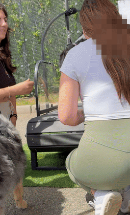 ezgif.com-censor