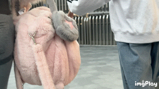 7A_IMB_L7dpug